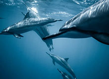 乐鱼在线开户平台-记者手记：这次终于兑现了，中国U23男足进步在哪？